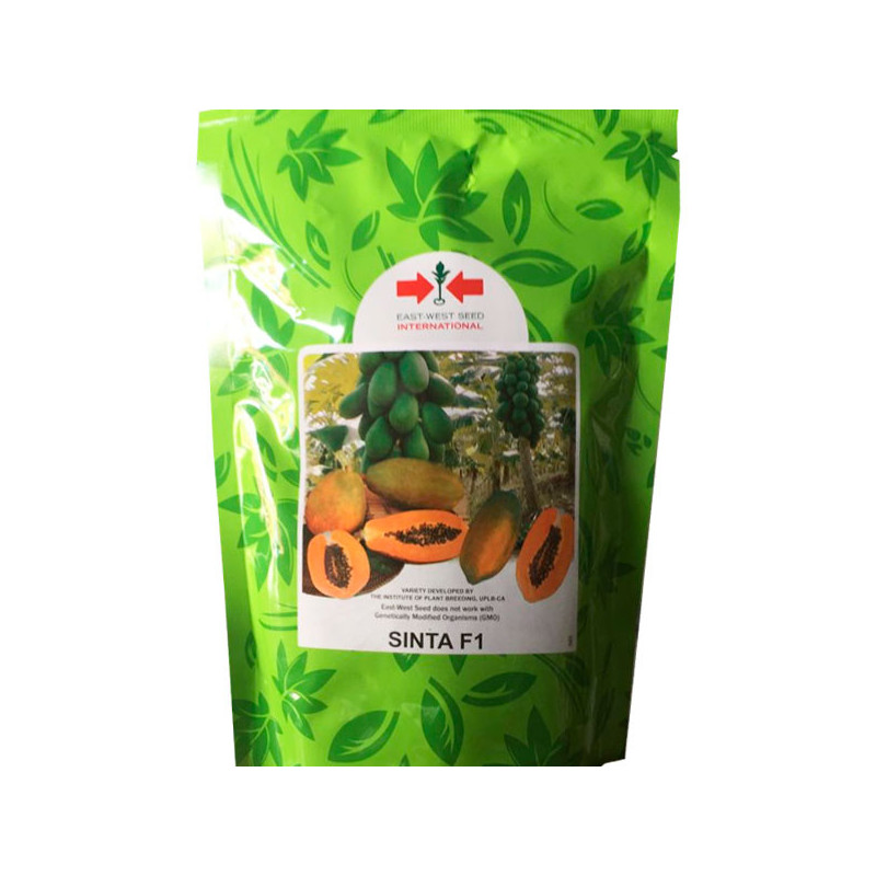 Papaya Sinta 5000Semillas, Semillas de Papaya Hibrido F1, East West Seed 4281 Papaya Sinta 5000Semillas, Semillas de Papaya Hib