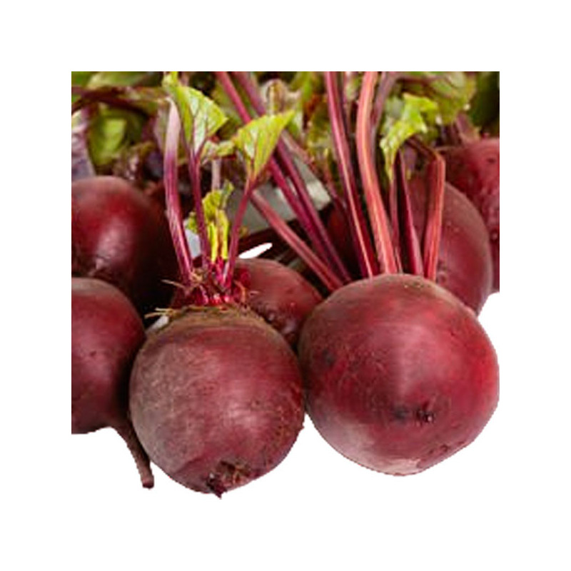 Beterraga Andina 1Kg Semilla Hibrida, San Martin 300 Beterraga Andina 1Kg Semilla Hibrida, San Martin Remolacha hibrida Andina