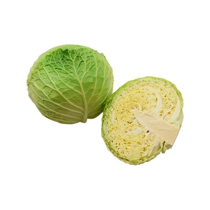 Col Lugano 5000 Semillas Repollo Crespo Saboya Milan Hibrido F1, Ramiro Arnedo 244.067797 Col Lugano 5000 Semillas Repollo Cres