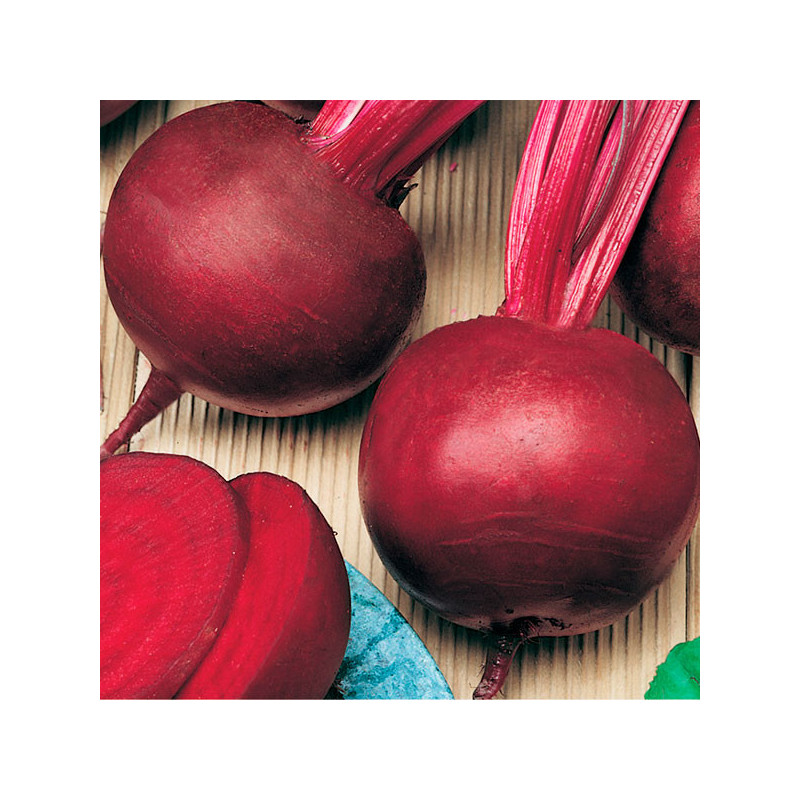 Beterraga Rubius 25000 Semillas Hibrido F1 Redondeado Rojo Intenso, TopSeed 188 Beterraga Rubius 25000 Semillas Hibrido F1 Redo