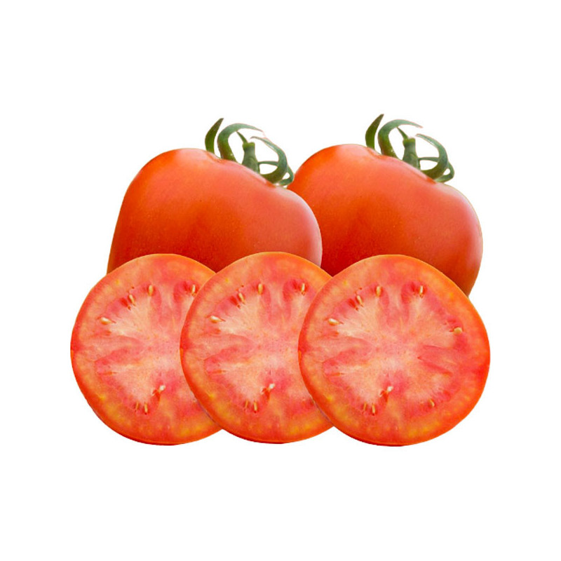 Tomate Megalotom 5000 Semillas F1 Saladette Fruto Full Flesh Pura Pulpa, Hazera 1933 Tomate Megalotom 5000 Semillas F1 Saladett