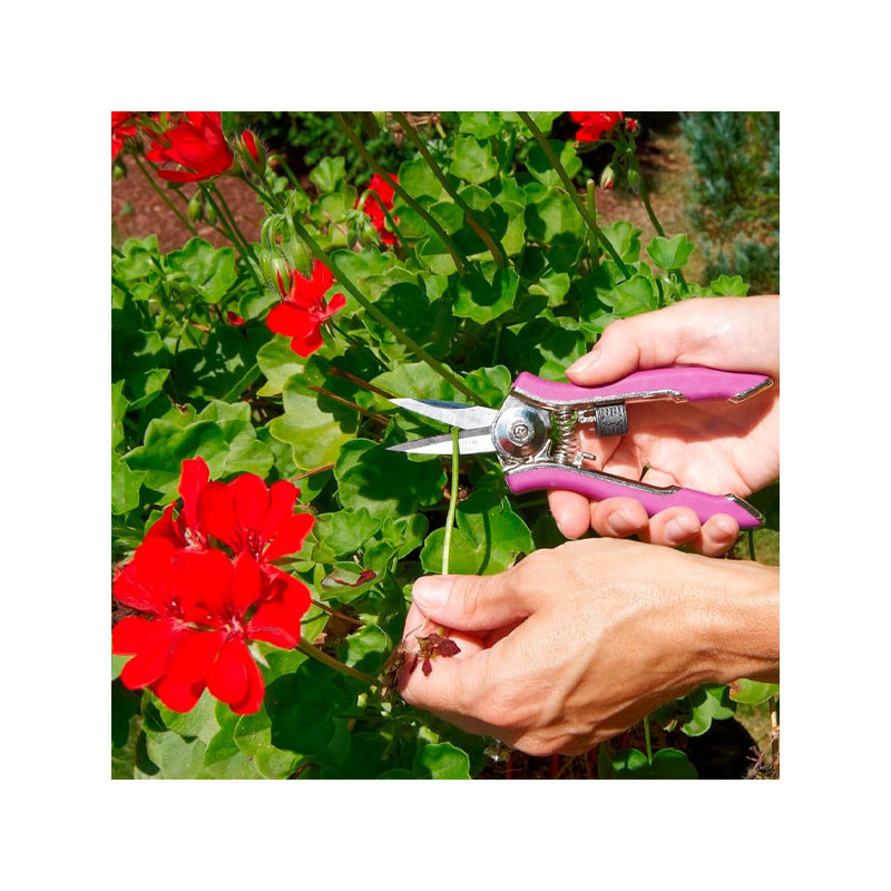 Tijera para Poda Compacta Acero Inoxidable Color Baya DRAMM 18026 111.864407 Tijera para Poda Compacta Acero Inoxidable Color B