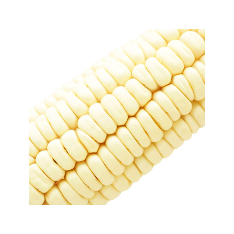 Maiz Chingasino 1Kg Semillas Granel Variedad OP Nacional 29 Maiz Blanco Chingasino 500gr, Semillas de Maiz Blanco Chingasino OP