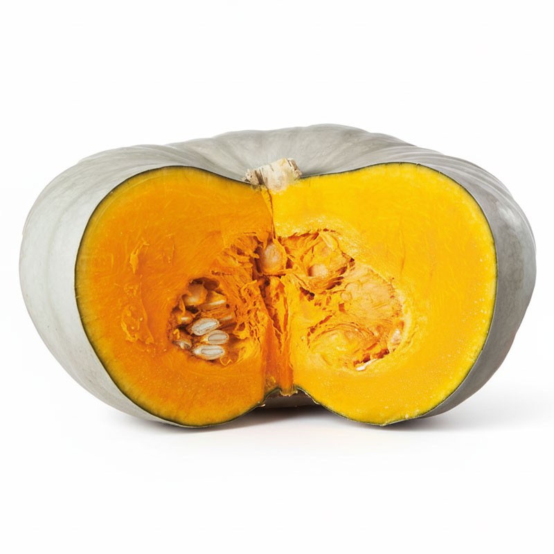 Zapallo Sampson 1000 Semillas Hibrido F1 Hortalizas Calabaza Enza Zaden 1320.000038 Zapallo Sampson 1000 Semillas Hibrido F1 Ho