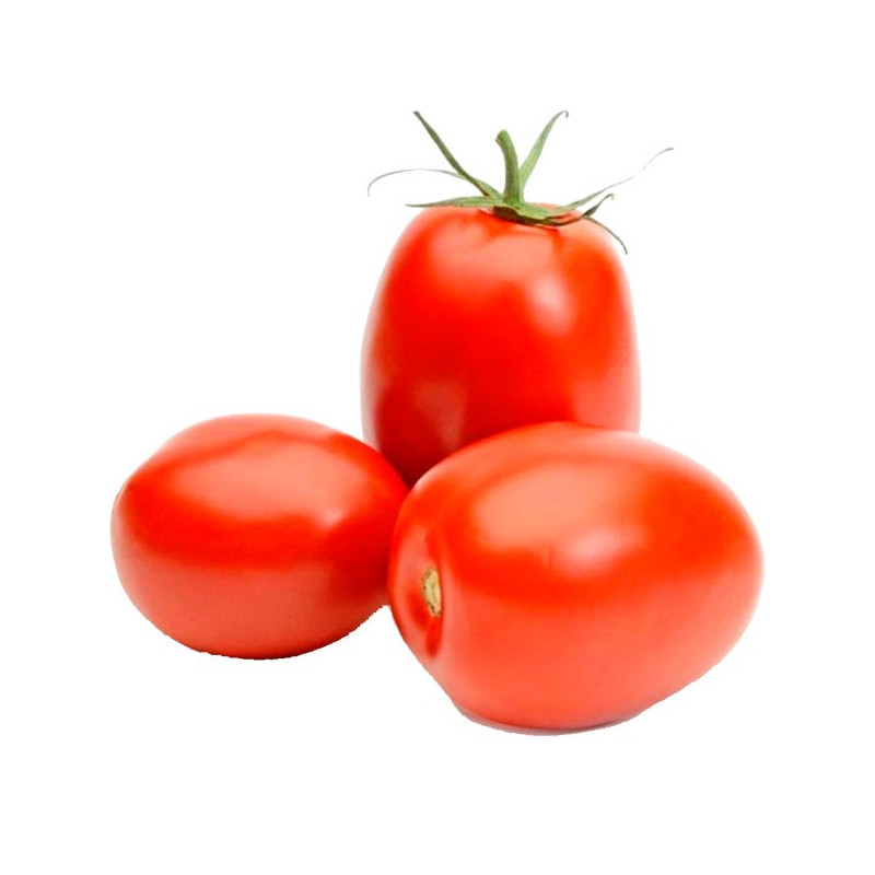 Tomate Rio Grande 2gr, Semillas de Tomate 3.813559 Tomate Rio Grande 2gr, Semillas de Tomate Frutos alargados cilíndricos, firm