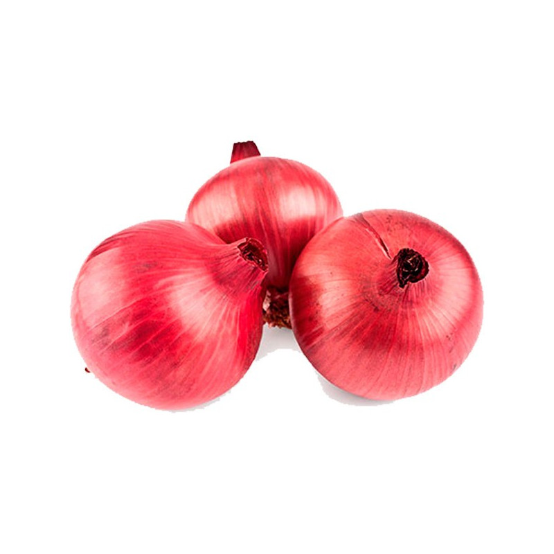 Cebolla Roja 2gr, Semillas de Cebolla Roja 3.813559 Cebolla Roja 2gr, Semillas de Cebolla Roja AGROIMPOLOB0019 2 AGLobsol