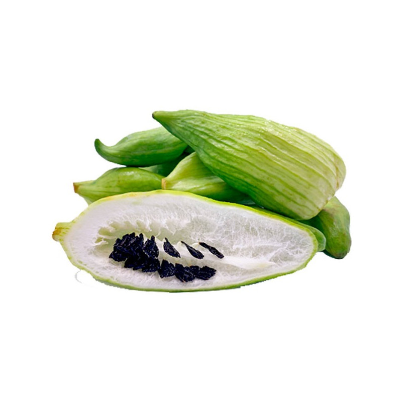 Caigua Criolla 500gr, Semillas de Caigua 111.864407 Caigua Criolla 500gr, Semillas de Caigua Pertenece a la familia de las cucu