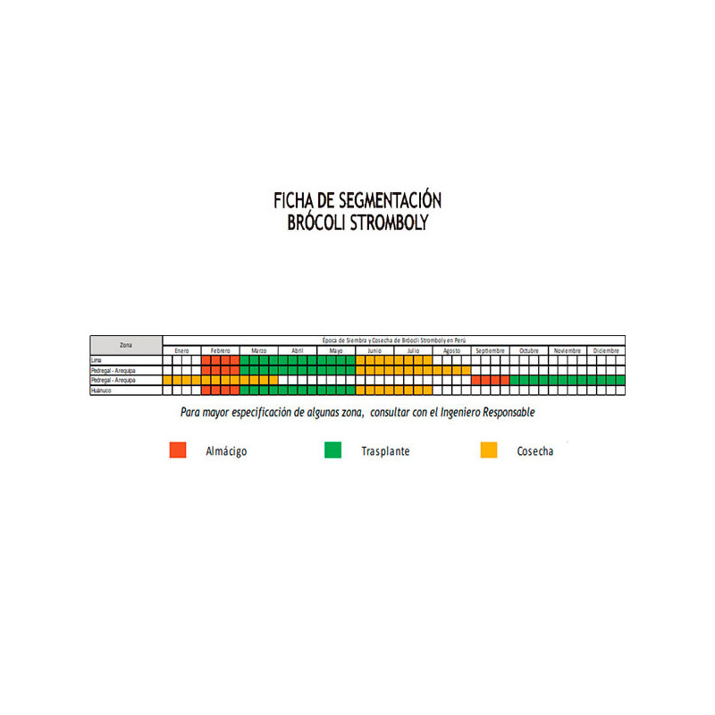 Brocoli Stromboli 2500semillas, Semillas de brocoli, Hazera 105.999999 Brocoli Stromboli 2500semillas, Semillas de brocoli, Haz