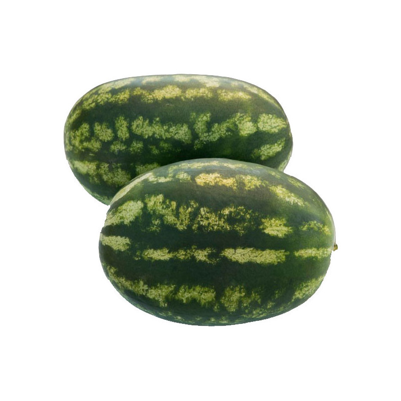 Sandia Santa Matilde 1000semillas, Semillas de Sandia hibrido, Hortus 416.949153 Sandia Santa Matilde 1000semillas, Semillas de