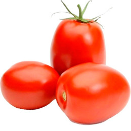  Tomate Rio Grande 500gr, Semilla Tomate Variedad OP Determinado 238.983051 Tomate Rio Grande 500gr, Semilla Tomate Variedad OP 