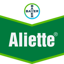  Aliette 12Kg, Fosetyl-Al 80% Fungicida Sistemico, Bayer 1419.491525 Aliette 12Kg, Fosetyl-Al 80% Fungicida Sistemico, Bayer
Fun