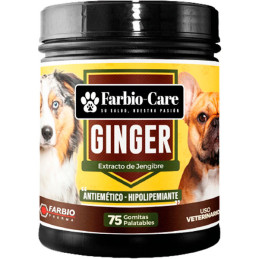  Farbio-Care Ginger Pote X 75 Gomitas Palatables, Aditivo Alimentario, Farbio 104.237288 Farbio-Care Ginger Pote X 75 Gomitas Pa