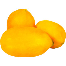  Papaya Blondie F1 2500Semillas, Semilla de Papaya Pulpa Amarilla Redondo Alargado, Smundo 1755.932203 Papaya Blondie F1 2500Sem