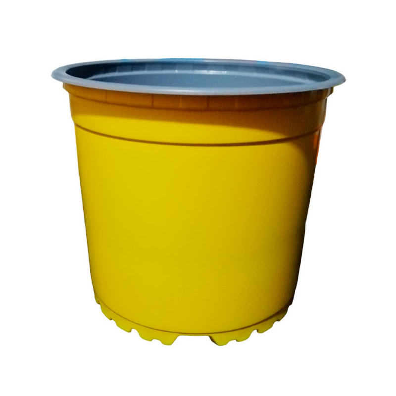  Macetas de Plastico 13 x 10.2cm Termoformadas, Amarillo, VCG 13 1.271186 Macetas de Plastico 13 x 10.2cm Termoformadas, Amarill