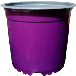  Macetas de Plastico 13 x 10.2cm Termoformadas Morado, VCG 13 1.271186 Macetas de Plastico 13 x 10.2cm Termoformadas Morado, VCG