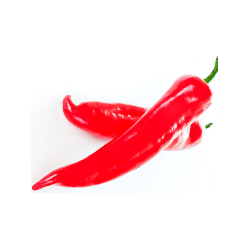  Paprika Papri King 500gr, Semilla de Paprika Dulce Variedad, Pandia Seeds 443.220339 Paprika Papri King 500gr, Semilla de Papri