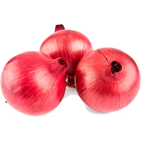  Cebolla Roja Arequipeña 500gr, Semillas de Cebolla Roja OP Variedad Nacional 116.949153 Cebolla Roja Arequipeña 500gr, Semillas