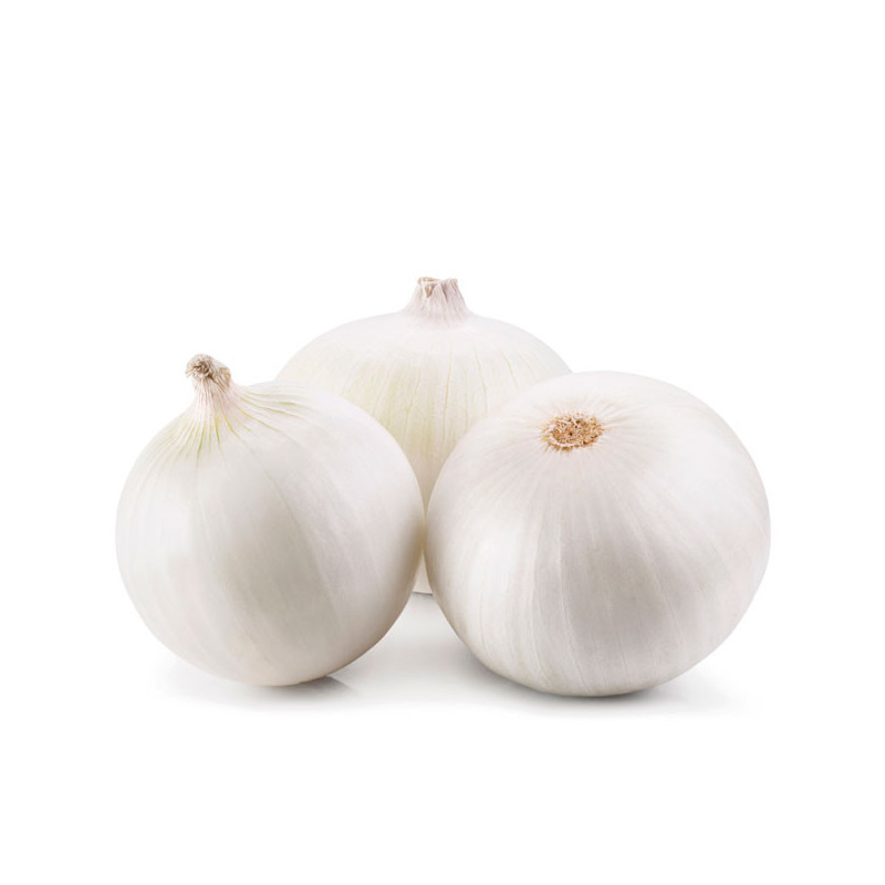  Cebolla White Grano 500gr, Semillas de Cebolla Variedad, Bonanza 231.355932 Cebolla White Grano 500gr, Semillas de Cebolla Vari