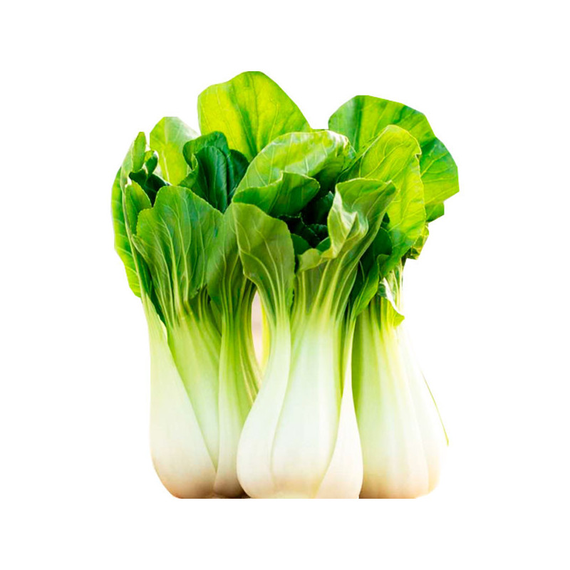  Col Pak Choi 500gr, Semillas de Col China Variedad, Bonanza 77.118644 Col Pak Choi 500gr, Semillas de Col China Variedad, Bonan