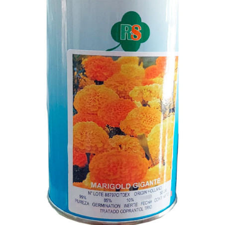  Semilla Marigold Gigante 50gr, Flores Corte Maceta, Royal Seeds 116.101695 Semilla Marigold Gigante 50gr, Flores Corte Maceta, 