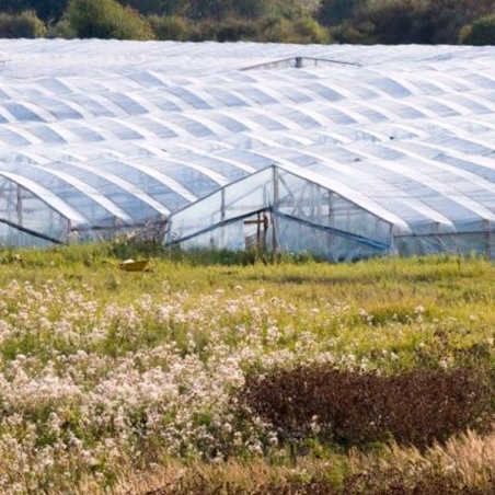 Plastico Agrofilm 6x64M 200micras Duratermic Blanco Invernadero UV, Solplast -Plastico Agrofilm 6x64M 200micras Duratermic Blanc