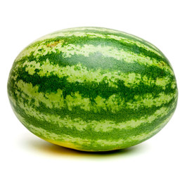  Sandia Yarden 5000Semillas, Semillas de Sandia Hibrido F1, Origenes Seeds 1825.423729 Sandia Yarden 5000Semillas, Semillas de S
