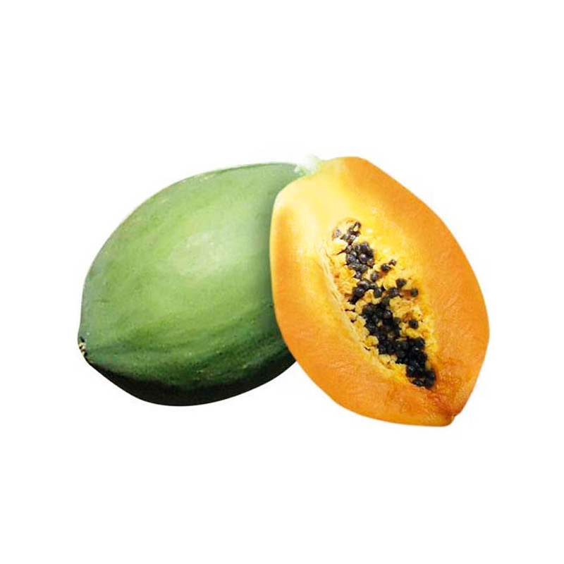  Papaya Mimosa 1000Semillas, Semillas de Papaya Hibrido F1, East West Seed 733.898305 Papaya Mimosa 1000Semillas, Semillas de Pa