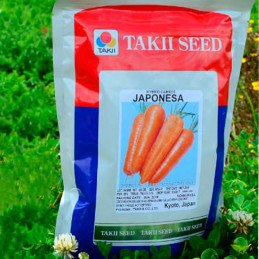  Zanahoria Japonesa 300gr, Semillas de Zanahoria Hibrido F1, Takii 319.491525 Zanahoria Japonesa 300gr, Semillas de Zanahoria Hi