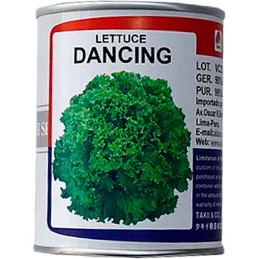  Lechuga Dancing 100gr, Semillas de Lechuga Crespa, Takii 240.677966 Lechuga Dancing 100gr, Semillas de Lechuga Crespa, Takii
Ca