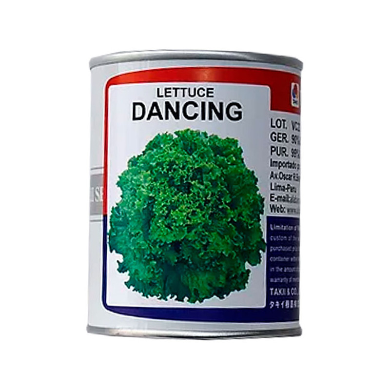  Lechuga Dancing 100gr, Semillas de Lechuga Crespa, Takii 240.677966 Lechuga Dancing 100gr, Semillas de Lechuga Crespa, Takii
Ca