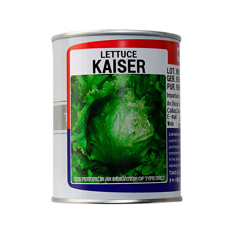  Lechuga Kayser 100gr, Semillas de Lechuga, Takii 105.084746 Lechuga Kayser 100gr, Semillas de Lechuga, Takii
 TAKIIHORT0029 1 T