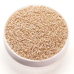  Levucell SC 20 20Kg, Levadura Viva Especifico Rumiantes Aditivo No Nutricional, Lallemand 10976 Levucell SC 20 20Kg, Levadura V