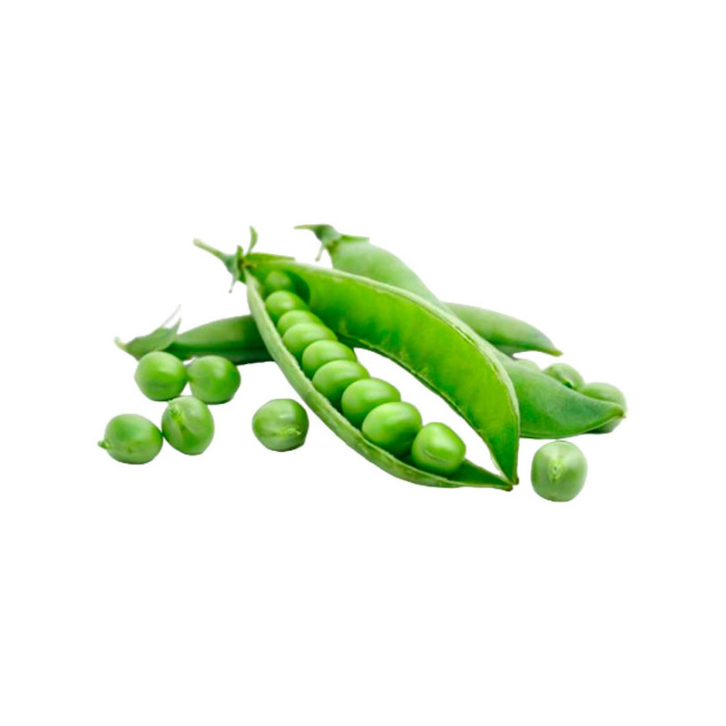  Arveja Quantum 25Kg Semillas Variedad Precoz PLT, PGG Wrightson 305.084746 Arveja Quantum 25Kg Semillas Variedad Precoz PLT, PG