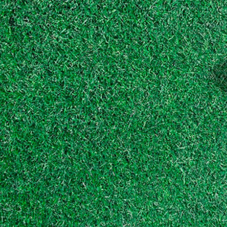 Ryegrass Ingles Ringles 25Kg Semillas Gramineas Decorativas, FITO agp-Ryegrass Ingles Ringles 25Kg Semillas Gramineas Decorativa