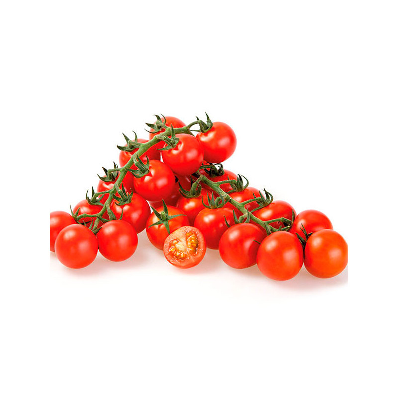  Tomate Tomagino 1000 Semillas Cherry Redondo Indeterminado, Enza Zaden 3105.084746 Tomate Tomagino 1000 Semillas Cherry Redondo