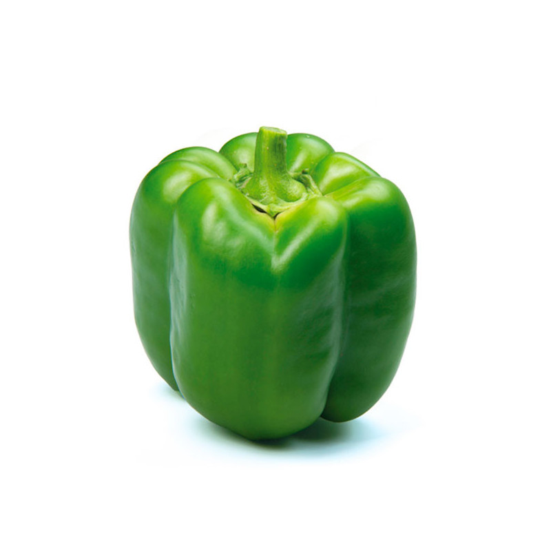  Pimiento Beachcraft 1000 Semillas Hibrido F1, Enza Zaden 260 Pimiento Beachcraft 1000 Semillas Hibrido F1, Enza Zaden
 HORTAGP0