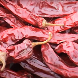  Aji Paprika 500gr Semilla Pepper Dulce Variedad OP Formato King, San Martin 488 Aji Paprika 500gr Semilla Pepper Dulce Variedad