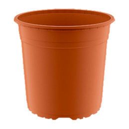  Macetas de Plastico 21 x 18.30cm Termoformadas, VCC 21 4.661017 Macetas de Plastico 21 x 18.30cm Termoformadas, VCC 21
Macetas 