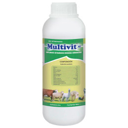  Multivit NF 1L Reconstituyente Vitaminico Energizante Antiestresante Sol Oral, Labet 49.152542 Multivit NF 1L Reconstituyente V