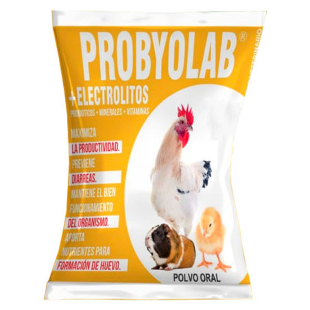  Probyolab+Electrolitos 1Kg Probioticos Suplemento Vitaminico Polvo Soluble, Labet 117 Probyolab+Electrolitos 1Kg Probioticos Su