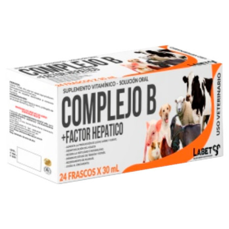  Complejo B+FH 1L Suplemento Vitaminico Factor Hepatico Susp Oral, Labet 116.101695 Complejo B+FH 1L Suplemento Vitaminico Facto