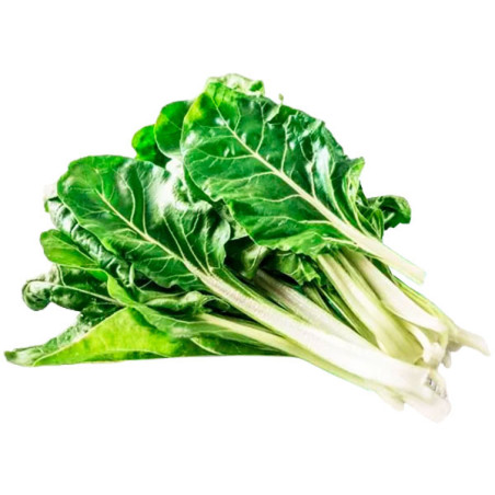  Acelga Fordhook Giant 500gr Semillas Variedad OP 50 Acelga Fordhook Giant 500gr Semillas Variedad OP
Variedad de Acelga en la q