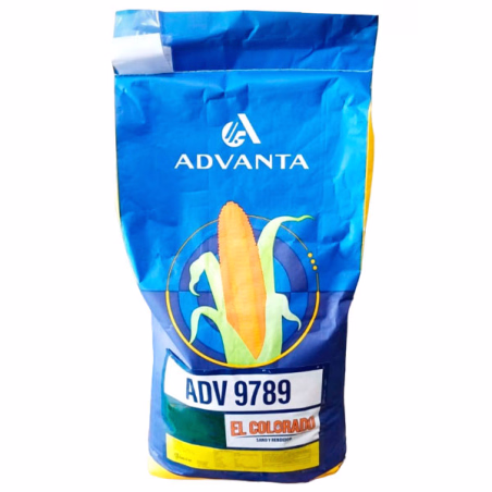 Maiz ADV 9789 El Colorado 60000 Semillas Hibrido F1 Grano Forraje, ADVANTA Neoagrum-Maiz ADV 9789 El Colorado 60000 Semillas Hib