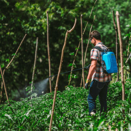  Pulverizador Electrico Evolutions 15LT Bateria 12V Li-Ion Matabi 846.610169 Pulverizador Electrico Evolutions 15LT Bateria 12V 