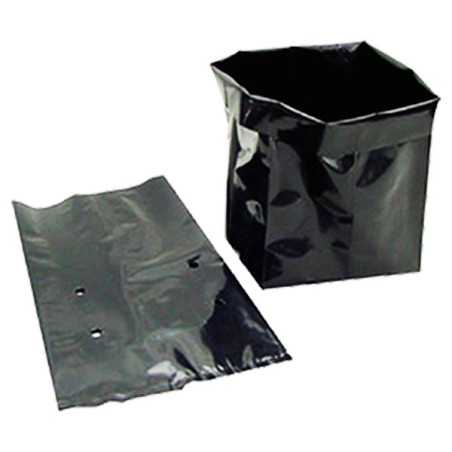  Bolsas de Polietileno 5x8x2 10Millares, Negro F/L Plantas Forestales Caoba Cedro, Arbor 291.525424 Bolsas de Polietileno 5x8x2 