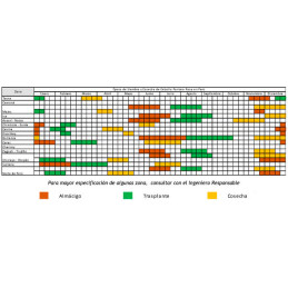  Cebolla Pantera Rosa 1lb, Semillas de cebolla roja dias intermedios siembras verano, Hazera 500.000001 Cebolla Pantera Rosa 1lb