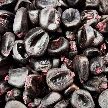 Maiz Morado 25Kg Semillas Granel Variedad OP Nacional -Maiz Morado 25Kg Semillas Granel Variedad OP Nacional Variedad nativa de 