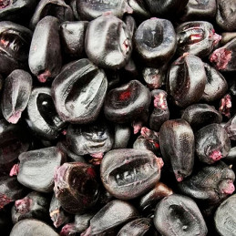  Maiz Morado 1Kg Semillas Granel Variedad OP Nacional 32 Maiz Morado 1Kg Semillas Granel Variedad OP Nacional
Variedad nativa de