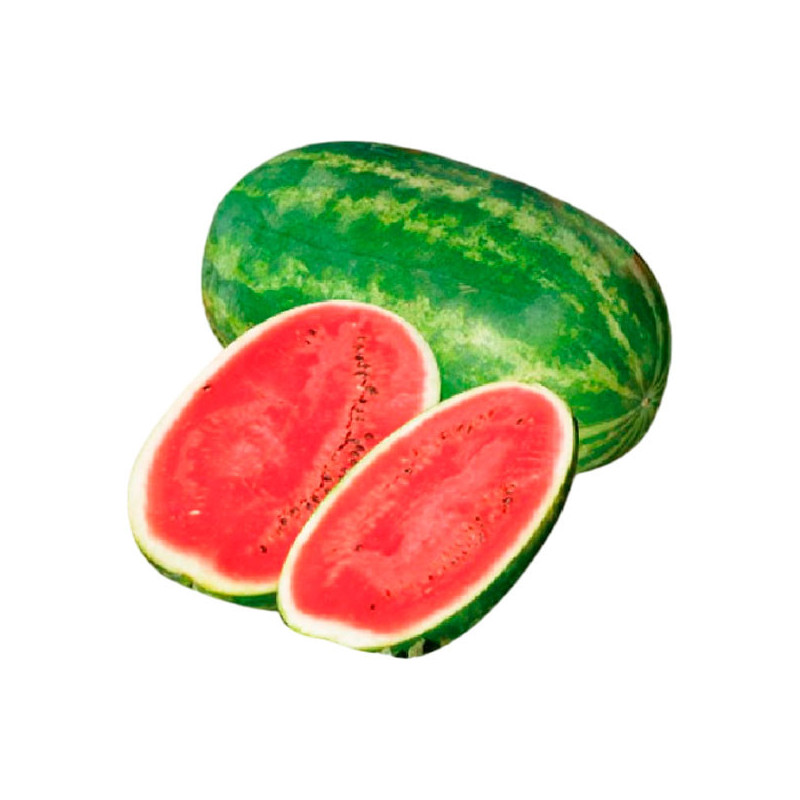  Sandia Santabrunella 5000 Semillas Hibrido F1 Rayada NASCO 1199.152542 Sandia Santabrunella 5000 Semillas Hibrido F1 Rayada NAS