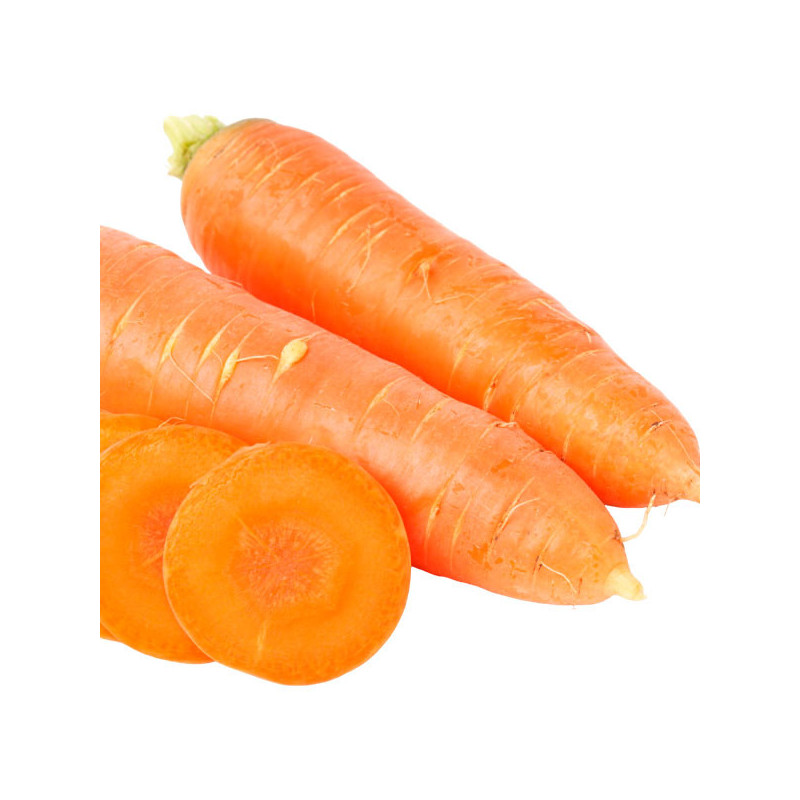  Zanahoria Monalisa 500gr Semillas Hirbido F1 Tipo Kuroda PanDia Seeds 444.067797 Zanahoria Monalisa 500gr Semillas Hirbido F1 T